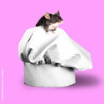 Ratatouille