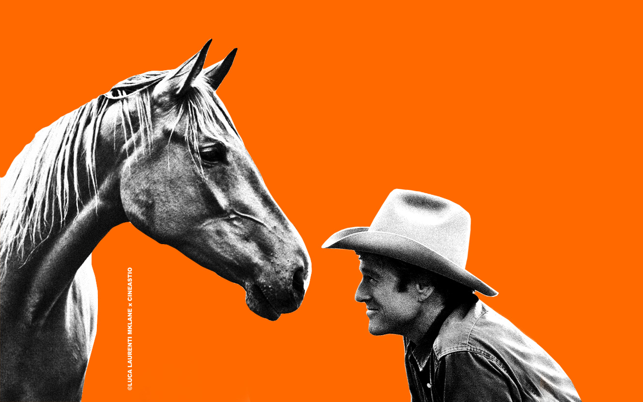 Gigante Timer buio l uomo che sussurrava ai cavalli trama Dislocamento La tranquillità violino Gigante Timer buio l uomo che sussurrava ai cavalli trama Dislocamento La tranquillità violino