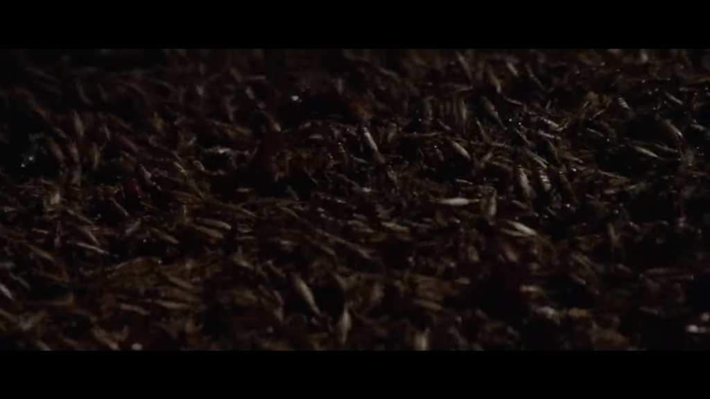 Dissenteria, portami via. Interna