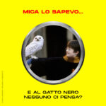 E al gatto nero nessuno ci pensa?