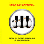 Non ci sono pinguini a Liverpool