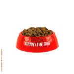 Danny the Dog