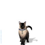F.B.I. - Operazione gatto