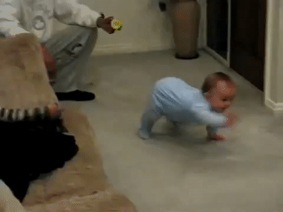 Crawl