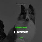 Lassie