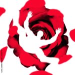 American Beauty