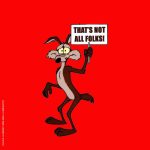 Coyote vs. Acme