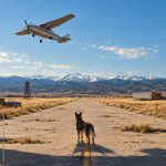 The Dog Stars - Le stelle dopo la fine